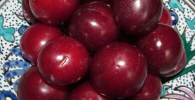 Foods to Eat for Better Digestion