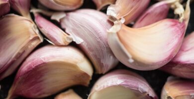 Going Green: Why Natural Ingredients Are the Future of Cosmetics