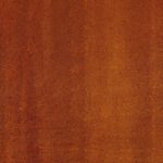 The Science Behind Fat Oxidation: How Your Body Burns Fat for Fuel