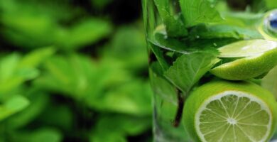 Unleash the Healing Powers of Herbs with a Herbal Detox Unleash the Healing Powers of Herbs with a Herbal Detox