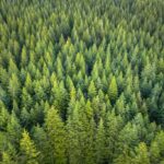 10 Top Pacific Northwest Coffee Roaster