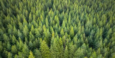 10 Top Pacific Northwest Coffee Roaster