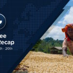 Coffee News Recap, 20 Feb: Arabica prices drop to lowest levels since August, USDA launches USbn specialty crop assistance programme & other stories