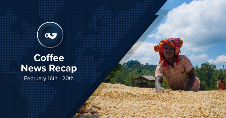 Coffee News Recap, 20 Feb: Arabica prices drop to lowest levels since August, USDA launches USbn specialty crop assistance programme & other stories