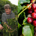 How can we encourage more producers to grow specialty coffee?