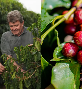 How can we encourage more producers to grow specialty coffee?