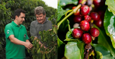 How can we encourage more producers to grow specialty coffee?