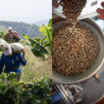 How long-term relationships can help roasters manage market volatility