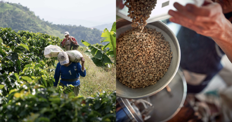How long-term relationships can help roasters manage market volatility