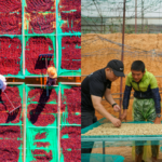 Last year was difficult for the coffee industry: Will 2026 be different?