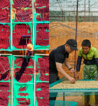 Last year was difficult for the coffee industry: Will 2026 be different?