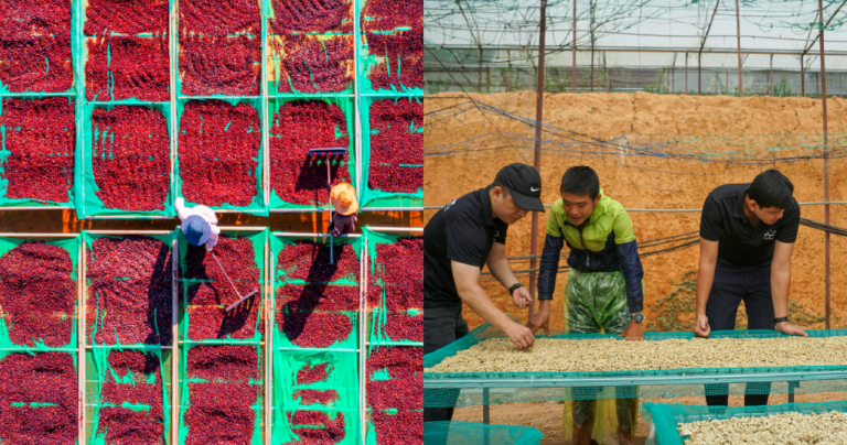 Last year was difficult for the coffee industry: Will 2026 be different?