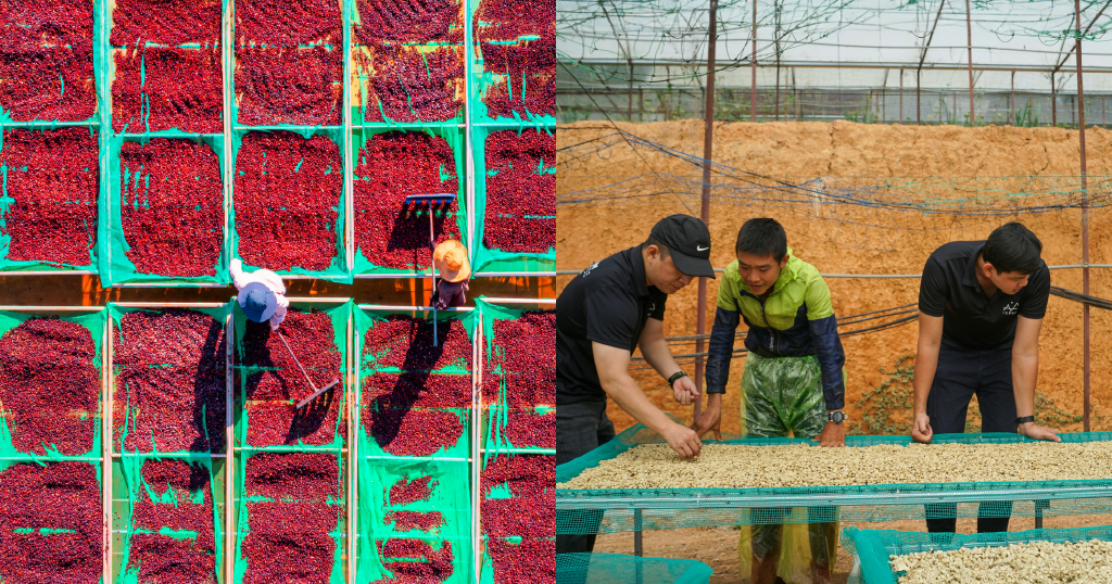 Last year was difficult for the coffee industry: Will 2026 be different?