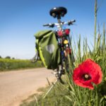 The Gut-Brain Connection: How Your Gut Health Affects Your Mental Health