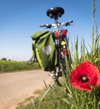 The Gut-Brain Connection: How Your Gut Health Affects Your Mental Health