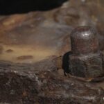 Unlocking the Benefits of Fat Oxidation: How It Can Improve Athletic Performance