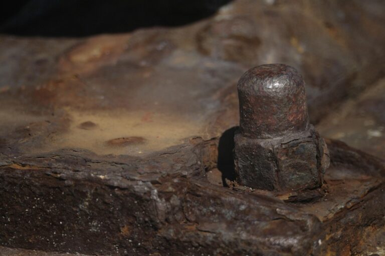 Unlocking the Benefits of Fat Oxidation: How It Can Improve Athletic Performance