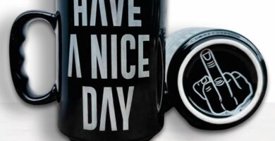 17 Oz Funny Humorous Black Ceramic Coffee Mug – Have A Nice Day Funny Mug – Funny Novelty Gift for Office, Friends, and Family – Funny Mug Birthday Gift