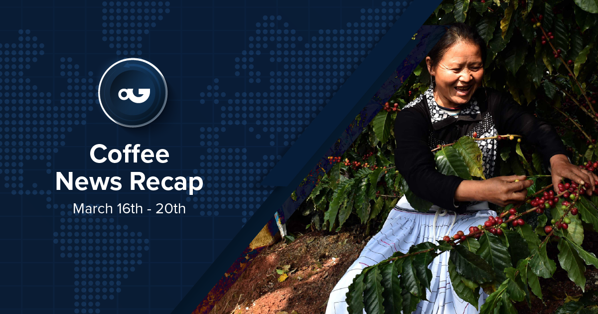 Coffee News Recap, 20 Mar: ICO reports a 10% drop in coffee prices for Feb, BUNN acquired by Ali Group & other stories