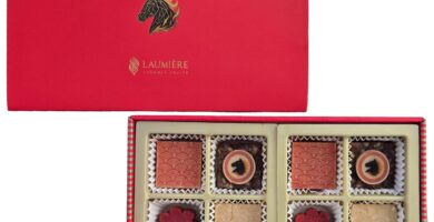 Laumière Gourmet Fruits – Lunar New Year Collection – Square (16 Pcs) – Gong Xi Fa Cai – Chinese New Year Good Luck Candy – Premium Dry Fruits and Nuts Gift Box – No Added Sugar – Gluten Free Basket