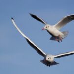 Rev Up Your Metabolism: Strategies for Increasing Energy and Weight Loss