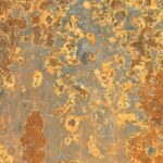 The Role of Fat Oxidation in Achieving a Leaner, Healthier Body