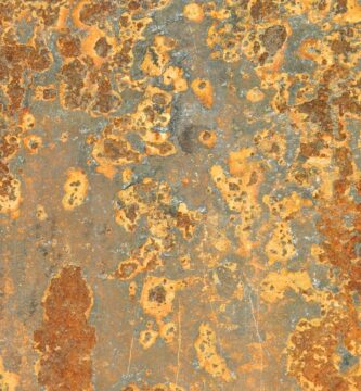 The Role of Fat Oxidation in Achieving a Leaner, Healthier Body