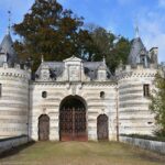 The Science Behind Anti-inflammatory Properties: How They Work to Reduce Pain and Boost Immunity