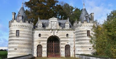 The Science Behind Anti-inflammatory Properties: How They Work to Reduce Pain and Boost Immunity