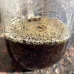 Toast Report Shows Lattes Rising as Drip Coffee and Cold Brew Slip