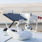 Appetite Control: The Key to Successful Weight Loss