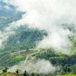 ‘Forest 500’ Report Tracks Coffee Industry Deforestation Commitments