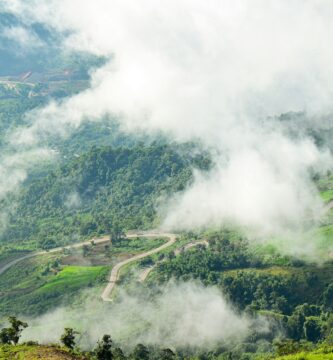 ‘Forest 500’ Report Tracks Coffee Industry Deforestation Commitments