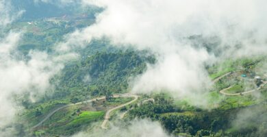 ‘Forest 500’ Report Tracks Coffee Industry Deforestation Commitments