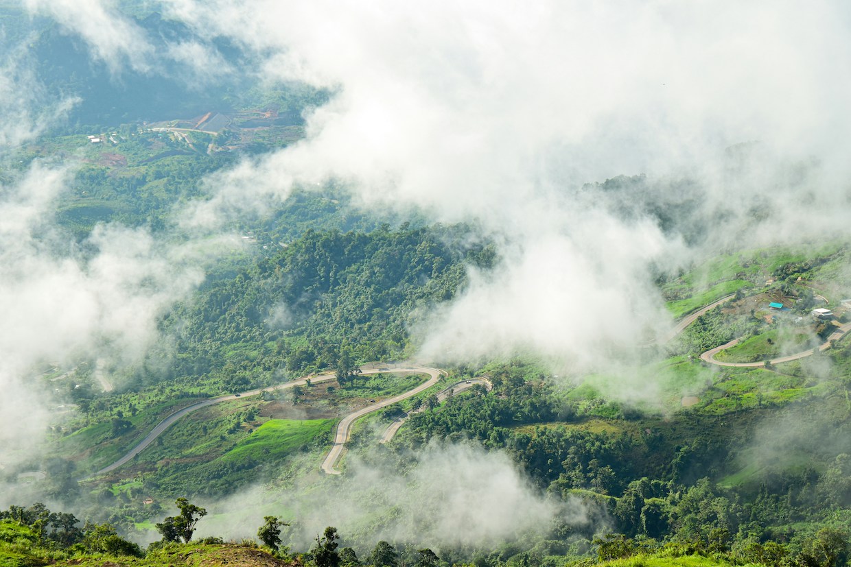 ‘Forest 500’ Report Tracks Coffee Industry Deforestation Commitments