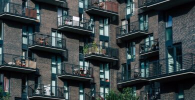 Inflammation Fighters: How Anti-inflammatory Properties Can Improve Your Quality of Life