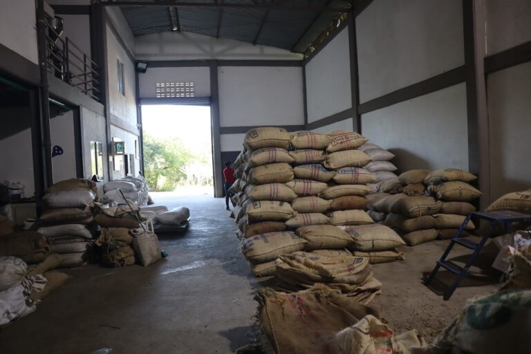 As Colombia Preps for EUDR, Challenges for Smallholders and Indigenous Growers Remain