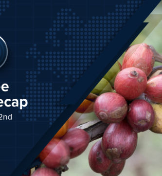 Coffee News Recap, 22 May: Scientists discover new liberica-excelsa hybrid, Indonesian coffee production expected to fall by 8% & other stories