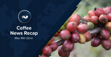 Coffee News Recap, 22 May: Scientists discover new liberica-excelsa hybrid, Indonesian coffee production expected to fall by 8% & other stories