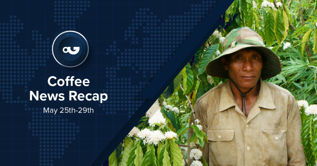 Coffee News Recap, 29 May: illycaffè says stock exchange listing is a “possibility”, Vietnam’s 2025/26 harvest forecast to rise by 9% & other stories