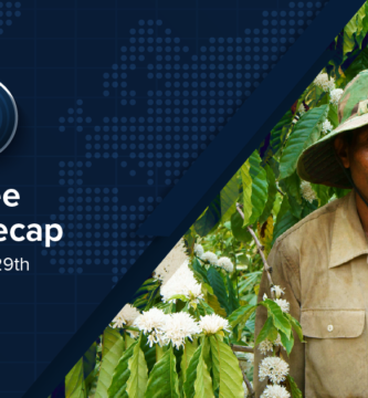 Coffee News Recap, 29 May: illycaffè says stock exchange listing is a “possibility”, Vietnam’s 2025/26 harvest forecast to rise by 9% & other stories