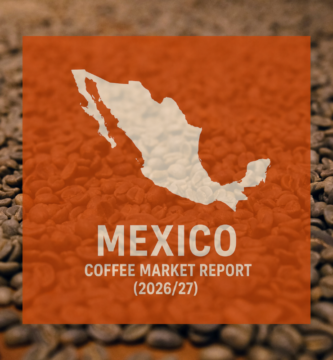 Production Rises Slightly with More Robusta