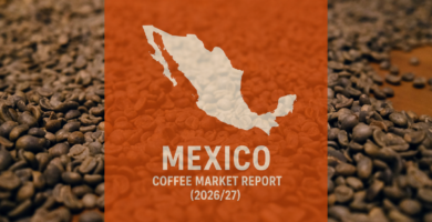 Production Rises Slightly with More Robusta