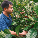 Researchers Propose ‘Libex’ Hybrid as Climate Change Accelerates