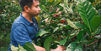 Researchers Propose ‘Libex’ Hybrid as Climate Change Accelerates