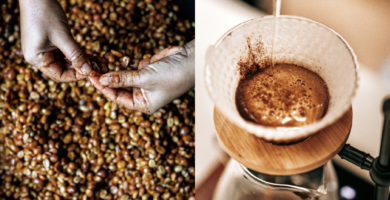 The love-hate relationship with co-ferments: What are the real issues?