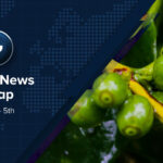 Coffee News Recap, 5 Jun: Arabica futures fall to lowest levels since Nov 2024, specialty coffee consumption remains at record high in the US & other stories