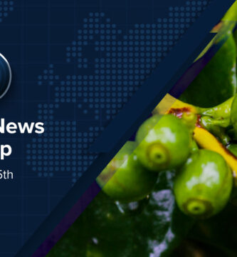 Coffee News Recap, 5 Jun: Arabica futures fall to lowest levels since Nov 2024, specialty coffee consumption remains at record high in the US & other stories