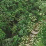 Fairtrade Launches Free EUDR Geolocation Tool for Coffee Cooperatives