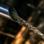 Maximize Your Energy and Immunity with Wellness Drinks